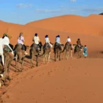 erg chebbi
