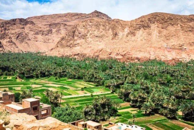 morocco-discovery-tour
