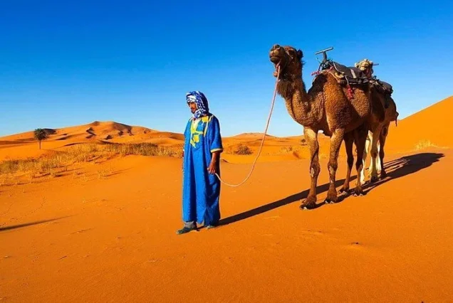 Morocco Tour