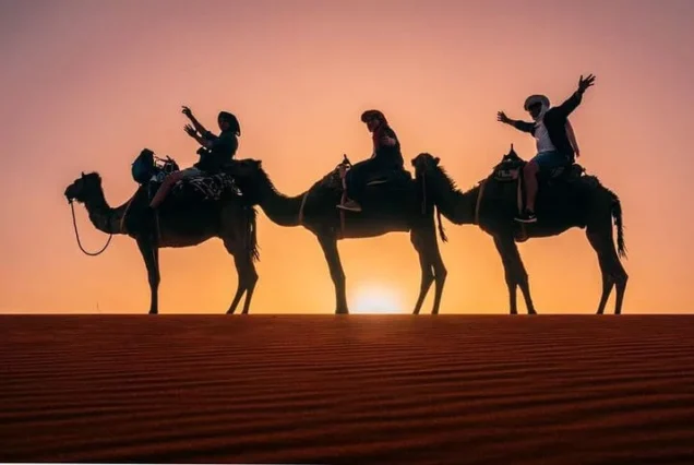 desert sahara