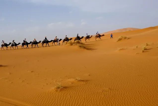 Marrakech & Sahara Desert Tour