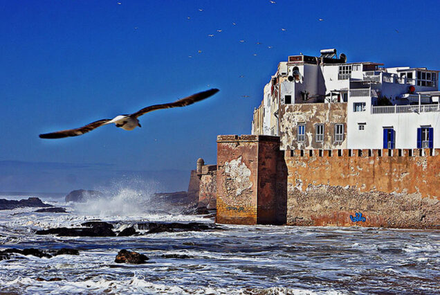essaouira surf