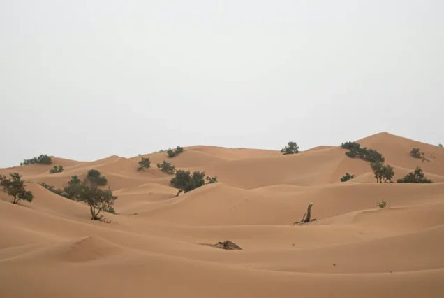 marrakech to erg chegaga