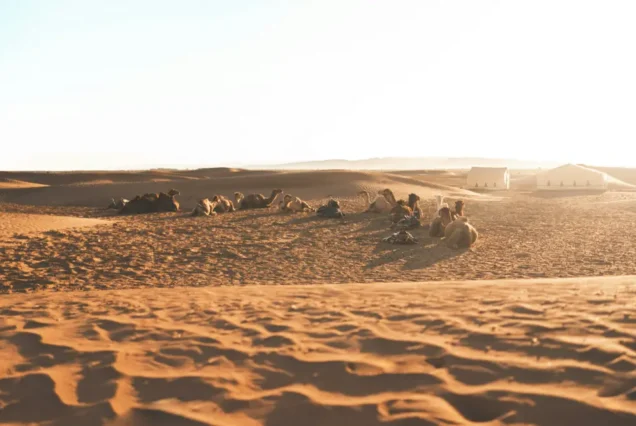 moroccan desert sahara