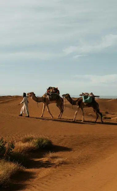 Morocco Tours